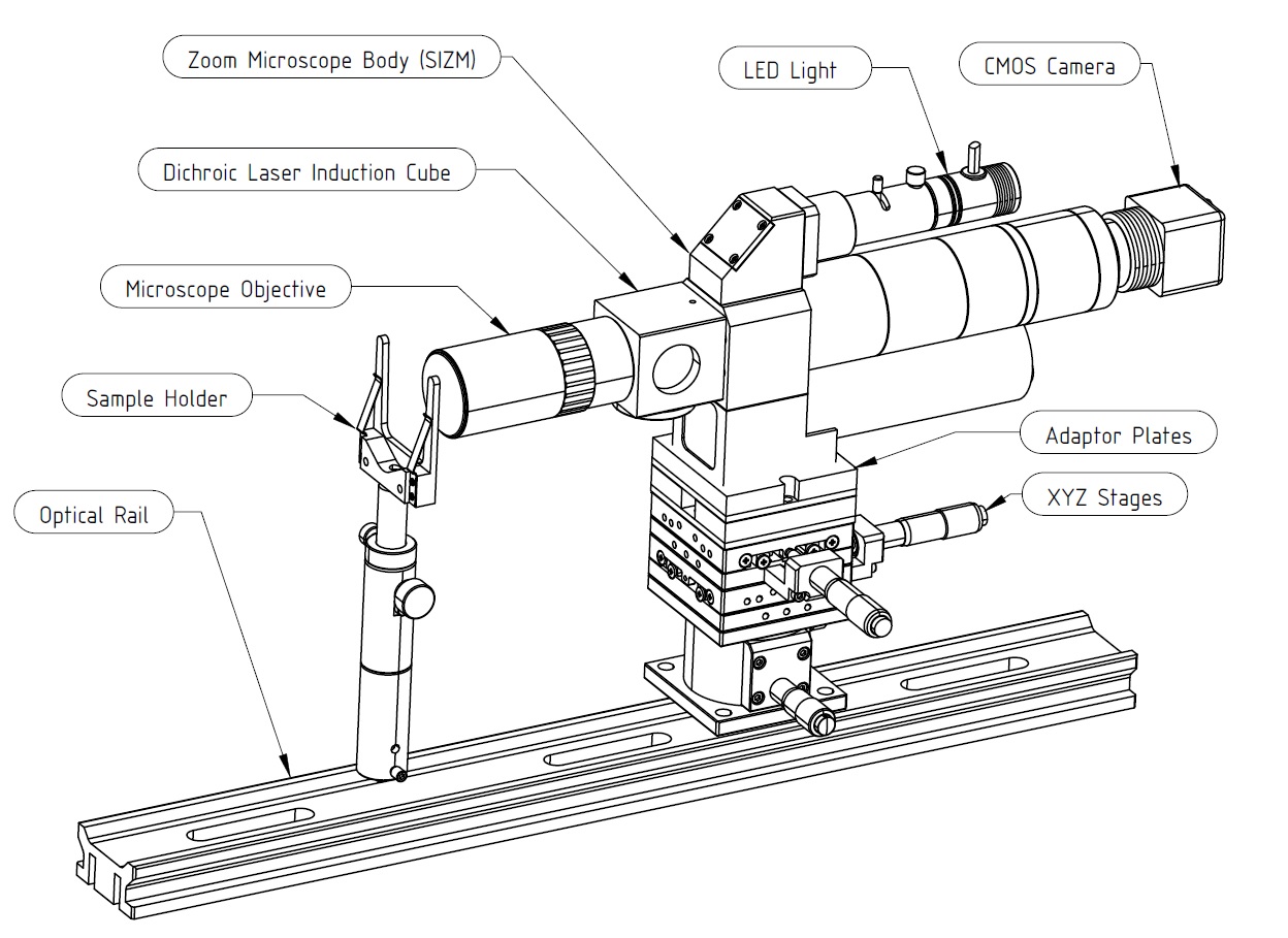 Zoom Microscope Demo