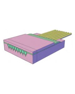 ファイバーコリメーターアレイ