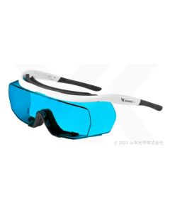 YL-780 Model (Low-Bridge, Anti-Fog, Over Prescription Glasses Type)