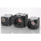 Color CMOS Cameras